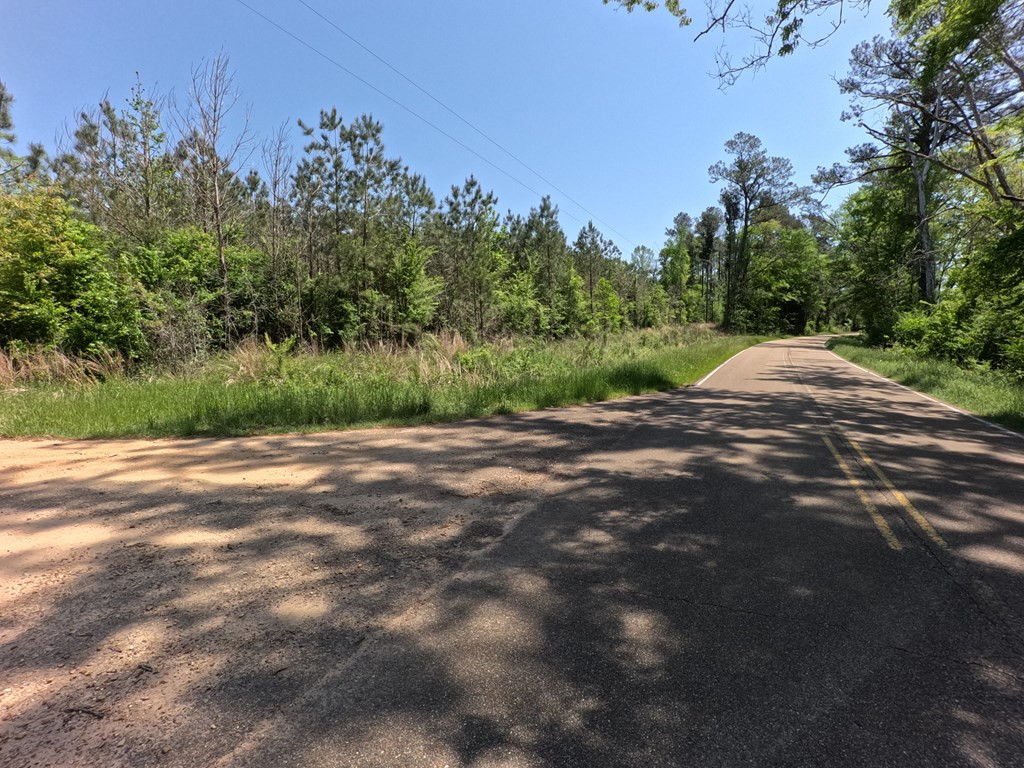 7075 Martinsville Road Wesson, MS 39191 - Photo 22 of 64 Photo 22
