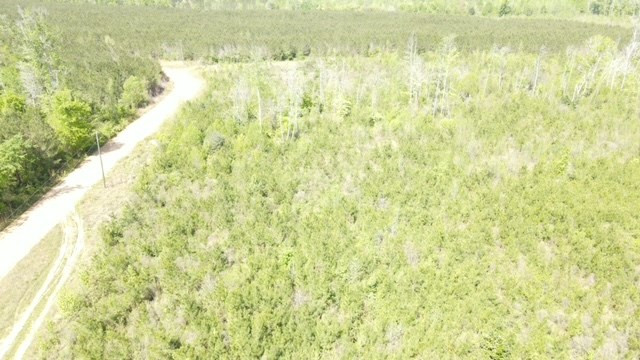 7075 Martinsville Road Wesson, MS 39191 - Photo 23 of 64 Photo 23
