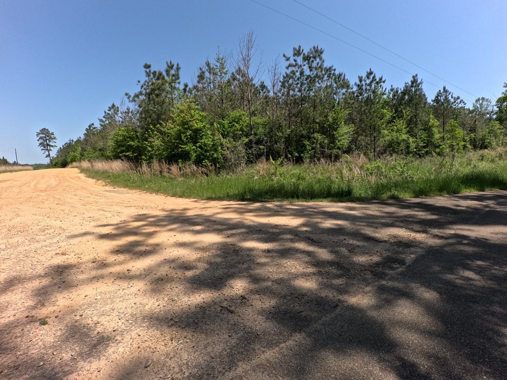 7075 Martinsville Road Wesson, MS 39191 - Photo 24 of 64 Photo 24