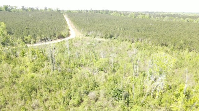 7075 Martinsville Road Wesson, MS 39191 - Photo 25 of 64 Photo 25