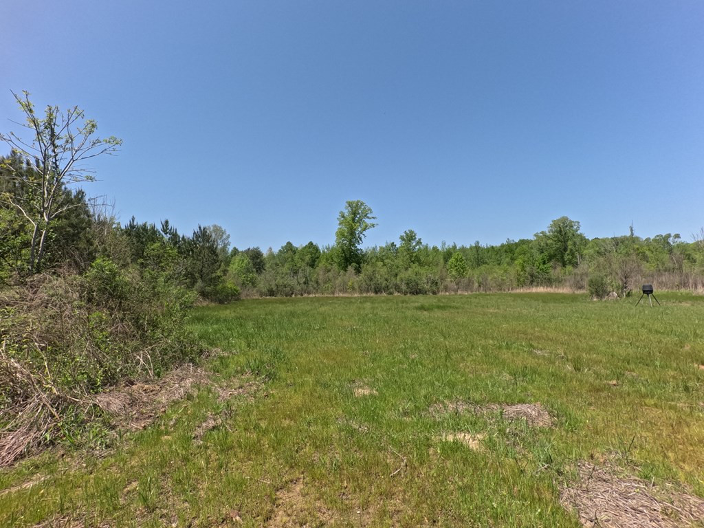 7075 Martinsville Road Wesson, MS 39191 - Photo 26 of 64 Photo 26