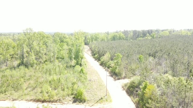 7075 Martinsville Road Wesson, MS 39191 - Photo 27 of 64 Photo 27