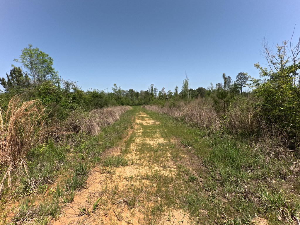 7075 Martinsville Road Wesson, MS 39191 - Photo 28 of 64 Photo 28