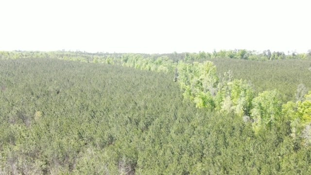 7075 Martinsville Road Wesson, MS 39191 - Photo 29 of 64 Photo 29
