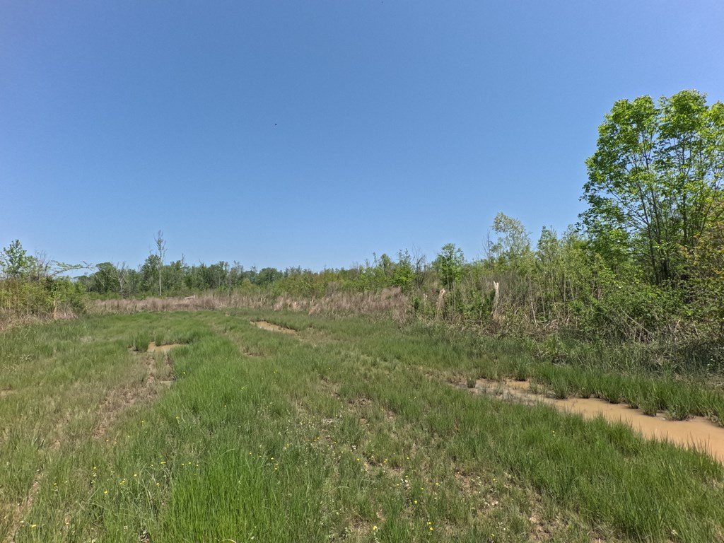 7075 Martinsville Road Wesson, MS 39191 - Photo 30 of 64 Photo 30