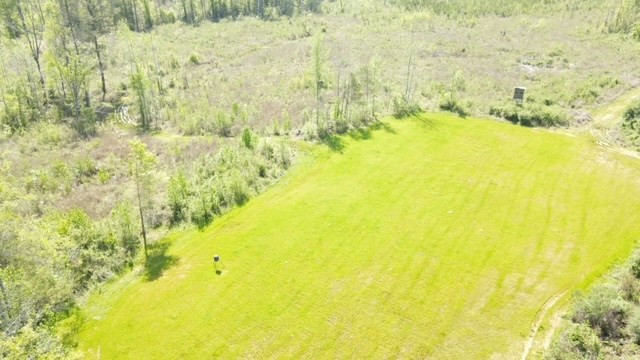 7075 Martinsville Road Wesson, MS 39191 - Photo 3 of 64 Photo 3