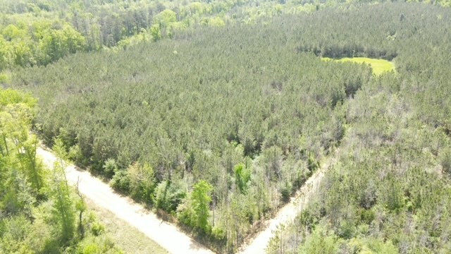7075 Martinsville Road Wesson, MS 39191 - Photo 31 of 64 Photo 31