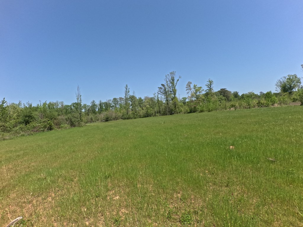 7075 Martinsville Road Wesson, MS 39191 - Photo 32 of 64 Photo 32