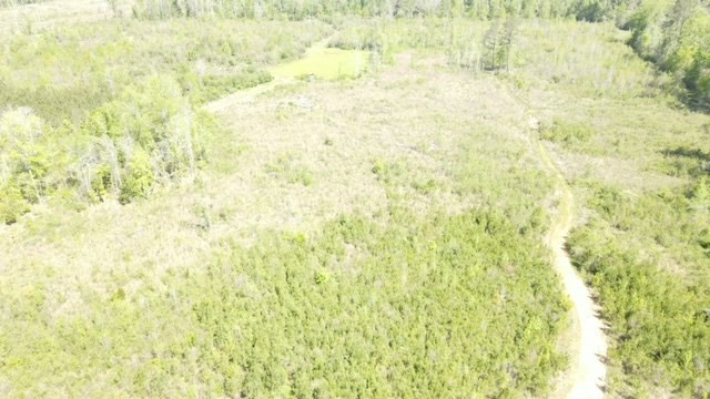 7075 Martinsville Road Wesson, MS 39191 - Photo 33 of 64 Photo 33