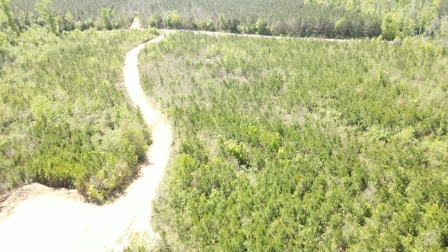 7075 Martinsville Road Wesson, MS 39191 - Photo 35 of 64 Photo 35