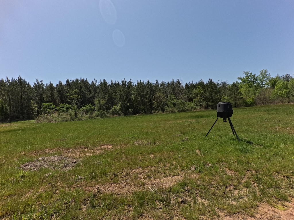 7075 Martinsville Road Wesson, MS 39191 - Photo 36 of 64 Photo 36