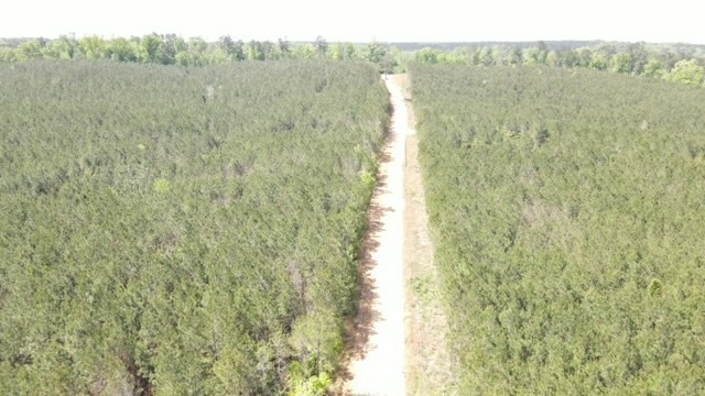 7075 Martinsville Road Wesson, MS 39191 - Photo 37 of 64 Photo 37