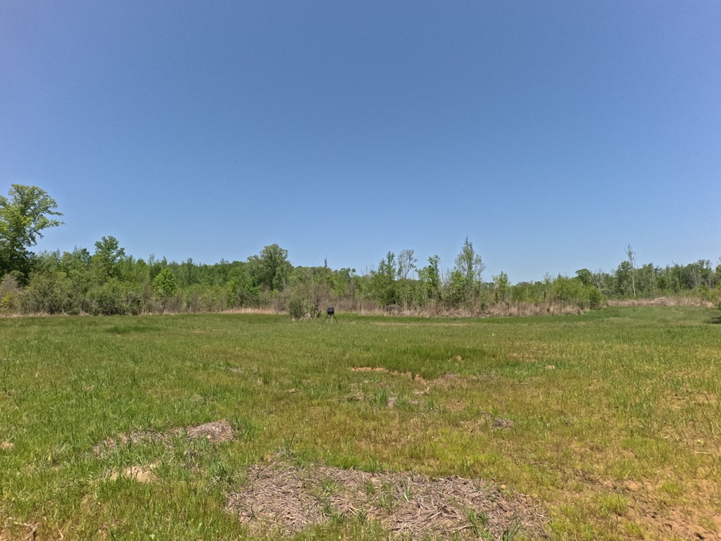 7075 Martinsville Road Wesson, MS 39191 - Photo 38 of 64 Photo 38