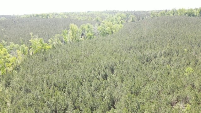 7075 Martinsville Road Wesson, MS 39191 - Photo 39 of 64 Photo 39