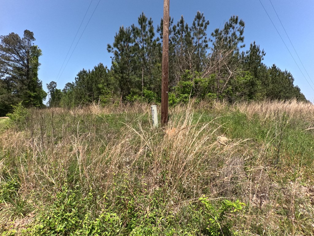 7075 Martinsville Road Wesson, MS 39191 - Photo 40 of 64 Photo 40