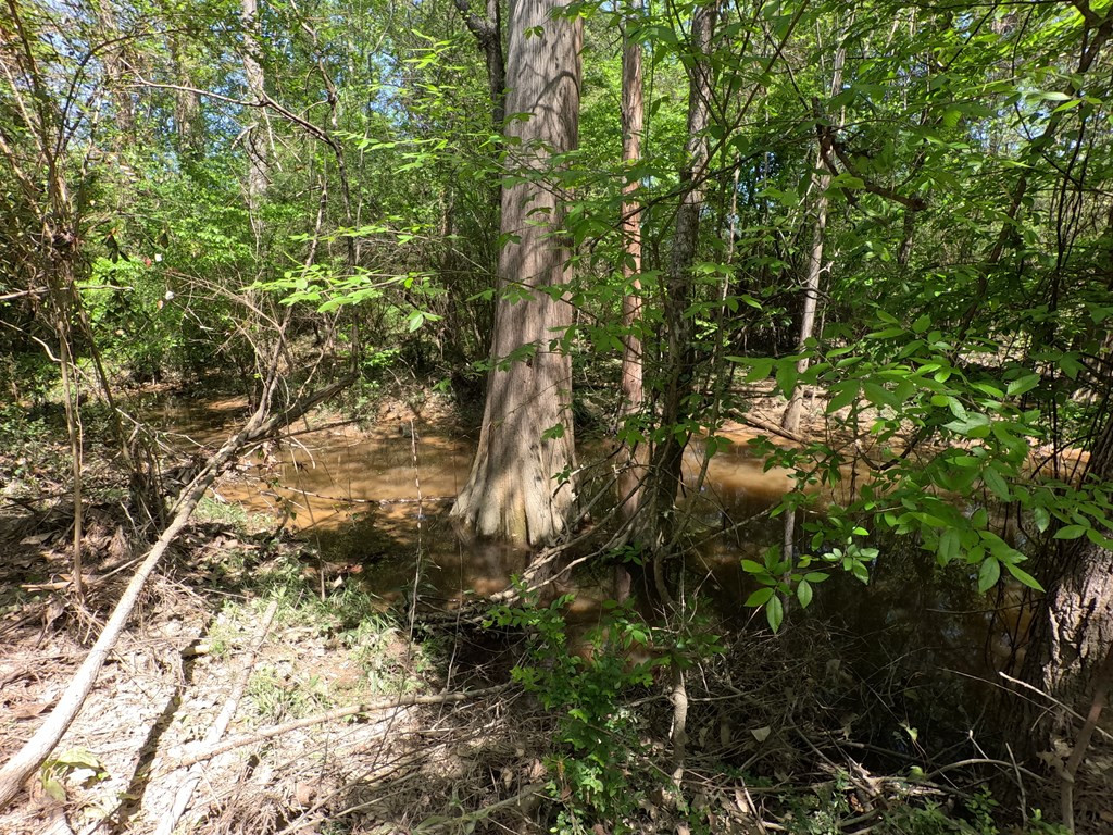 7075 Martinsville Road Wesson, MS 39191 - Photo 4 of 64 Photo 4
