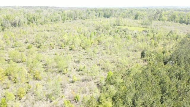 7075 Martinsville Road Wesson, MS 39191 - Photo 41 of 64 Photo 41