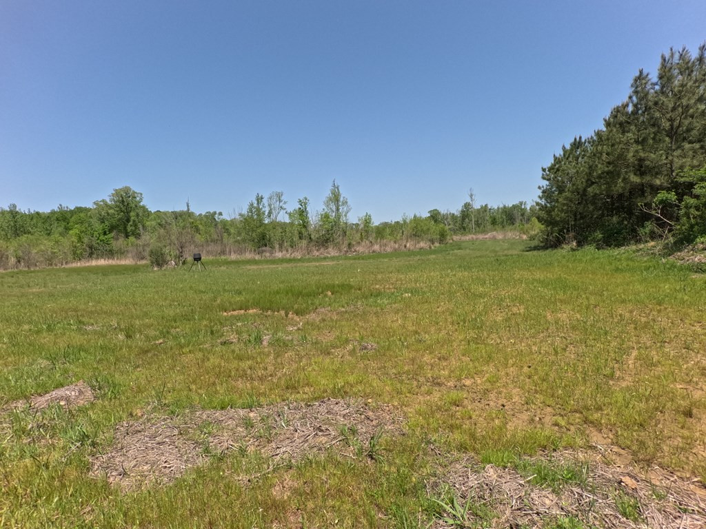 7075 Martinsville Road Wesson, MS 39191 - Photo 42 of 64 Photo 42
