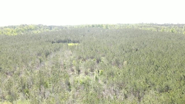7075 Martinsville Road Wesson, MS 39191 - Photo 43 of 64 Photo 43