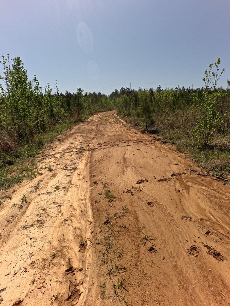 7075 Martinsville Road Wesson, MS 39191 - Photo 44 of 64 Photo 44