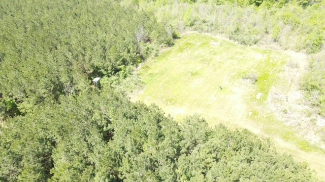 7075 Martinsville Road Wesson, MS 39191 - Photo 45 of 64 Photo 45