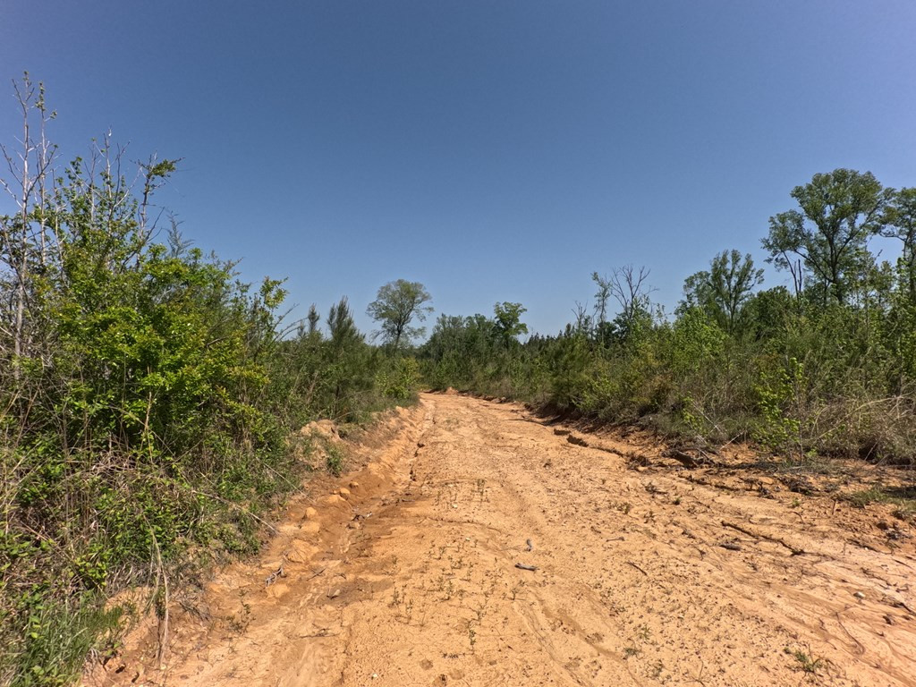 7075 Martinsville Road Wesson, MS 39191 - Photo 46 of 64 Photo 46