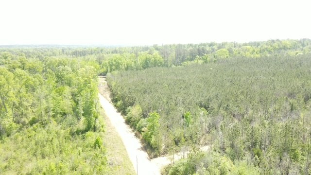 7075 Martinsville Road Wesson, MS 39191 - Photo 47 of 64 Photo 47