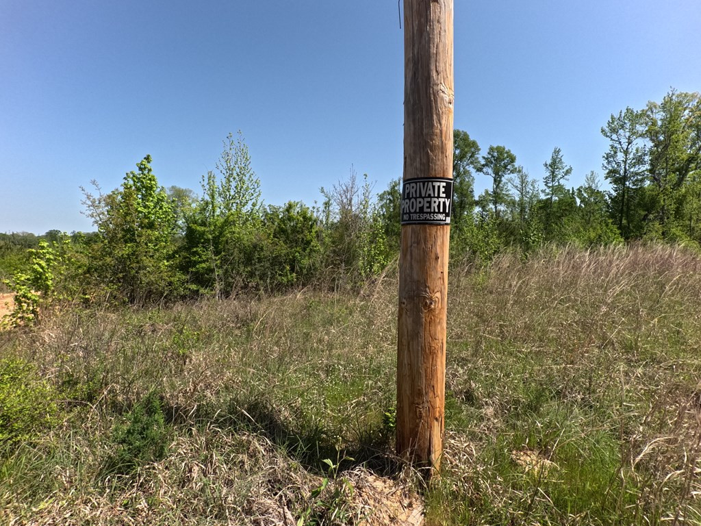 7075 Martinsville Road Wesson, MS 39191 - Photo 48 of 64 Photo 48
