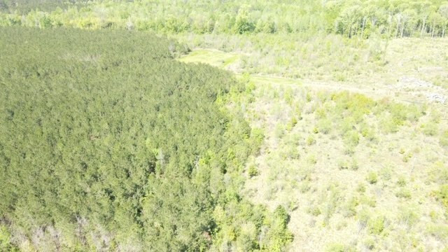 7075 Martinsville Road Wesson, MS 39191 - Photo 49 of 64 Photo 49