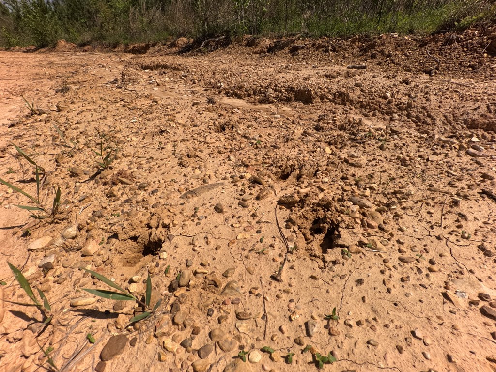 7075 Martinsville Road Wesson, MS 39191 - Photo 50 of 64 Photo 50