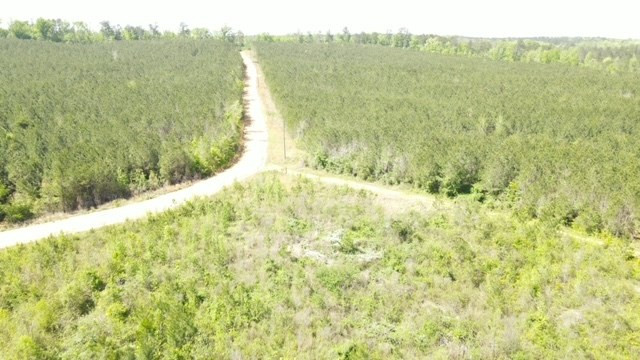 7075 Martinsville Road Wesson, MS 39191 - Photo 51 of 64 Photo 51