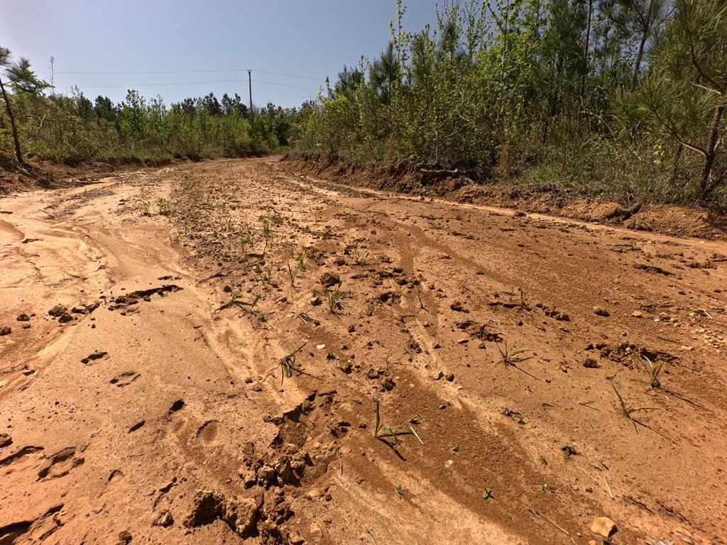7075 Martinsville Road Wesson, MS 39191 - Photo 54 of 64 Photo 54