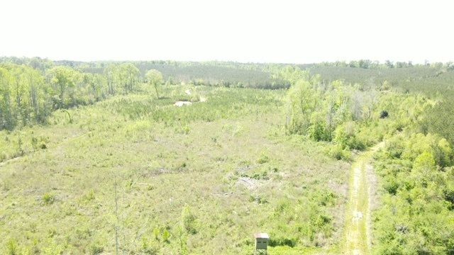 7075 Martinsville Road Wesson, MS 39191 - Photo 55 of 64 Photo 55