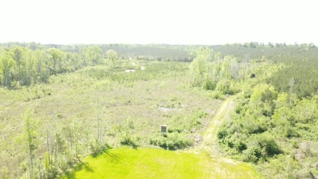 7075 Martinsville Road Wesson, MS 39191 - Photo 57 of 64 Photo 57