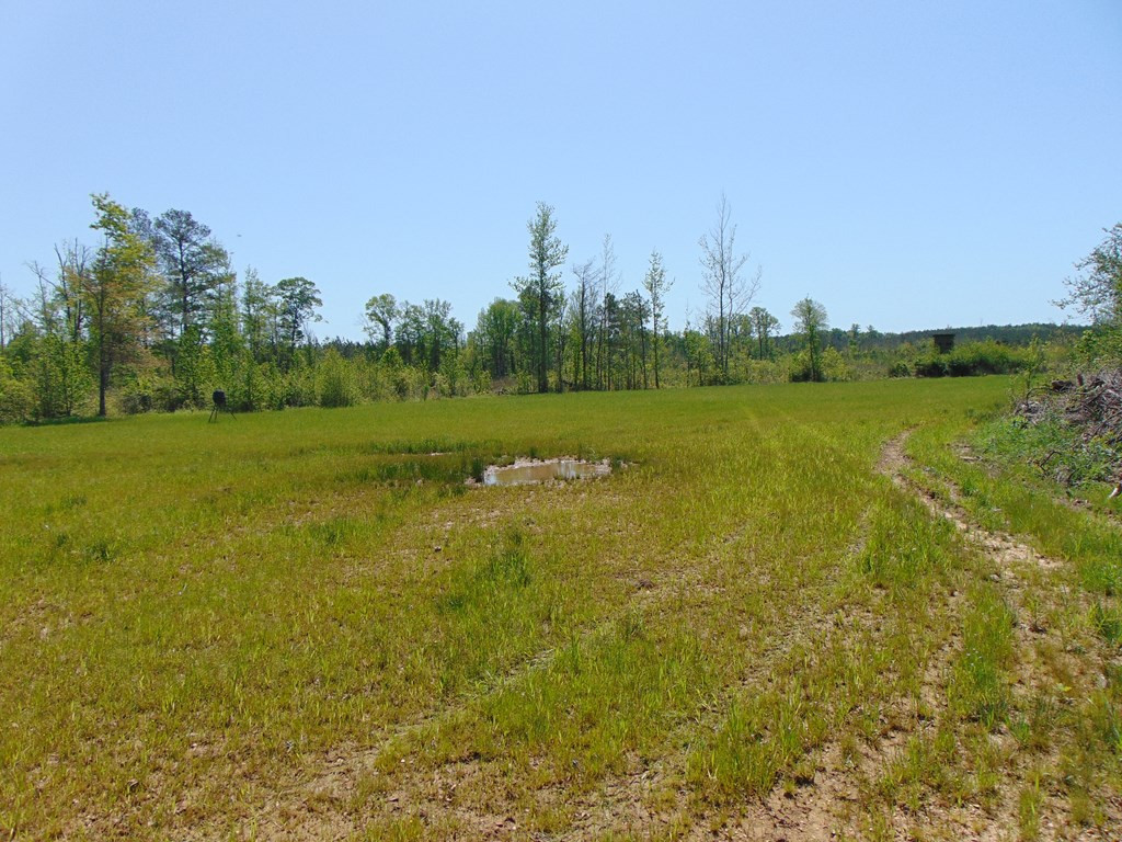 7075 Martinsville Road Wesson, MS 39191 - Photo 61 of 64 Photo 61