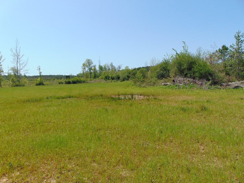 7075 Martinsville Road Wesson, MS 39191 - Photo 62 of 64 Photo 62