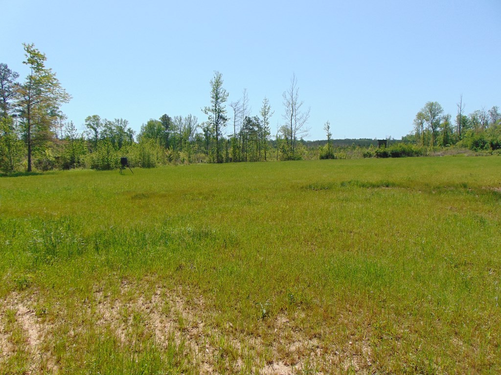 7075 Martinsville Road Wesson, MS 39191 - Photo 63 of 64 Photo 63
