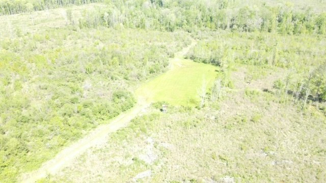 7075 Martinsville Road Wesson, MS 39191 - Photo 7 of 64 Photo 7