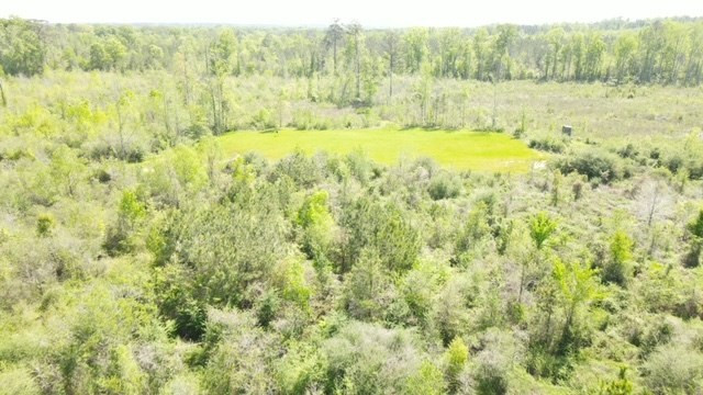 7075 Martinsville Road Wesson, MS 39191 - Photo 9 of 64 Photo 9
