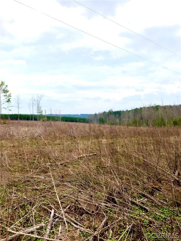 0 Renrut Road Brodnax, VA 23920 - Photo 4 of 13 Gallery Image 4