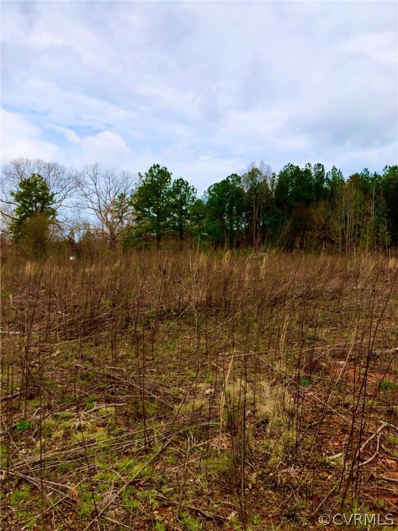 0 Renrut Road Brodnax, VA 23920 - Photo 5 of 13 Gallery Image 5