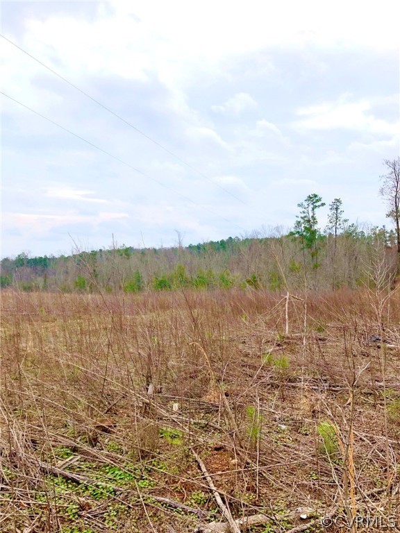 0 Renrut Road Brodnax, VA 23920 - Photo 6 of 13 Gallery Image 6
