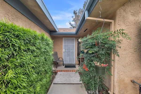 a potted plant sitting in front of a house