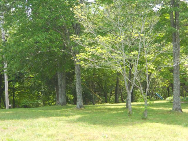740 Cathey Hollow Road Burns, TN 37029 - Photo 3 of 20 Gallery Image 3
