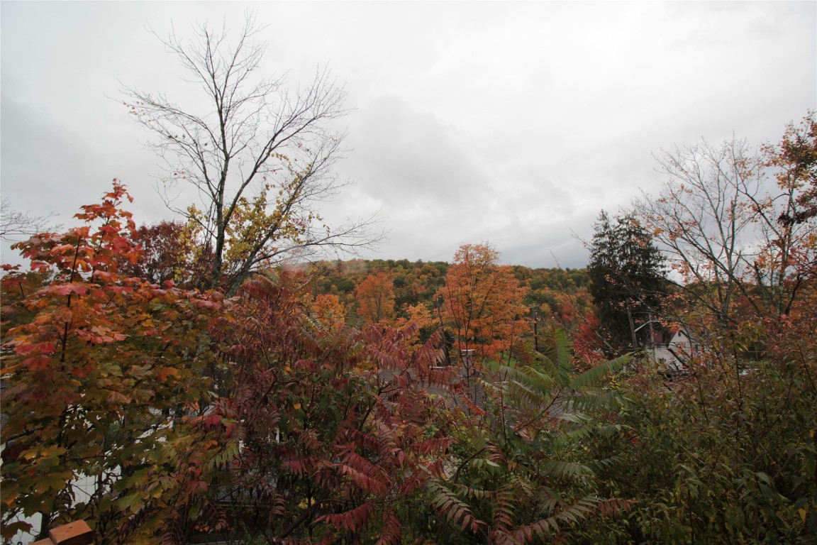 4 Alpine Road Binghamton, NY 13903 - Photo 26 of 30 Gallery Image 26