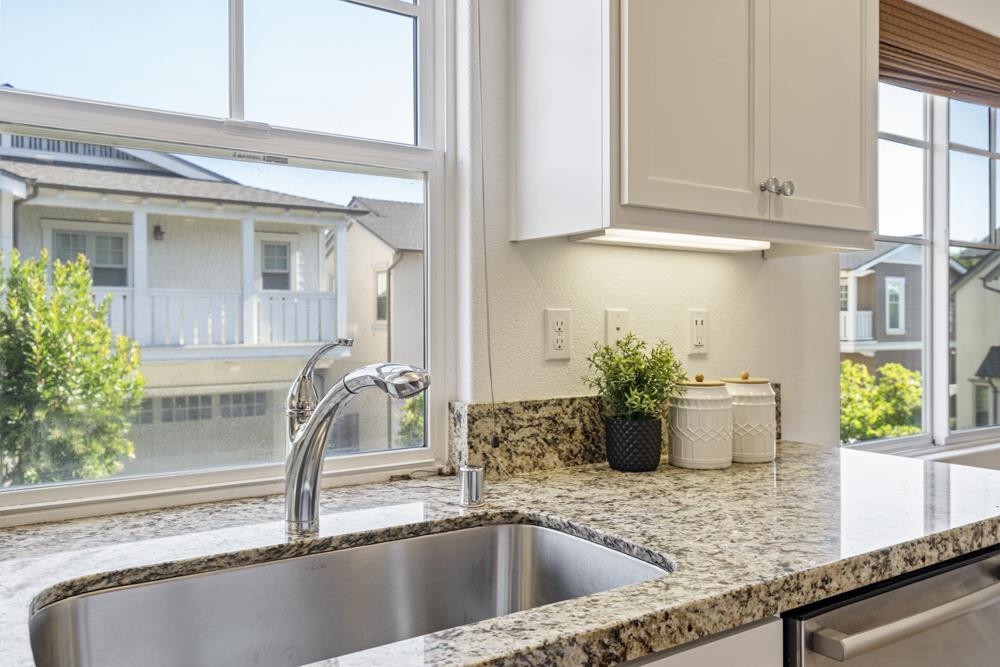 47236 Cavanaugh Common Fremont, CA 94539 - Photo 12 of 52 a kitchen with a sink and potted plant
