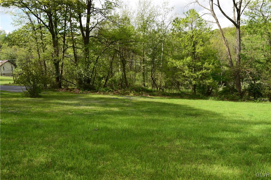 829 Copella Road Bath, PA 18014 - Photo 8 of 31 a backyard of a house with lots of green space