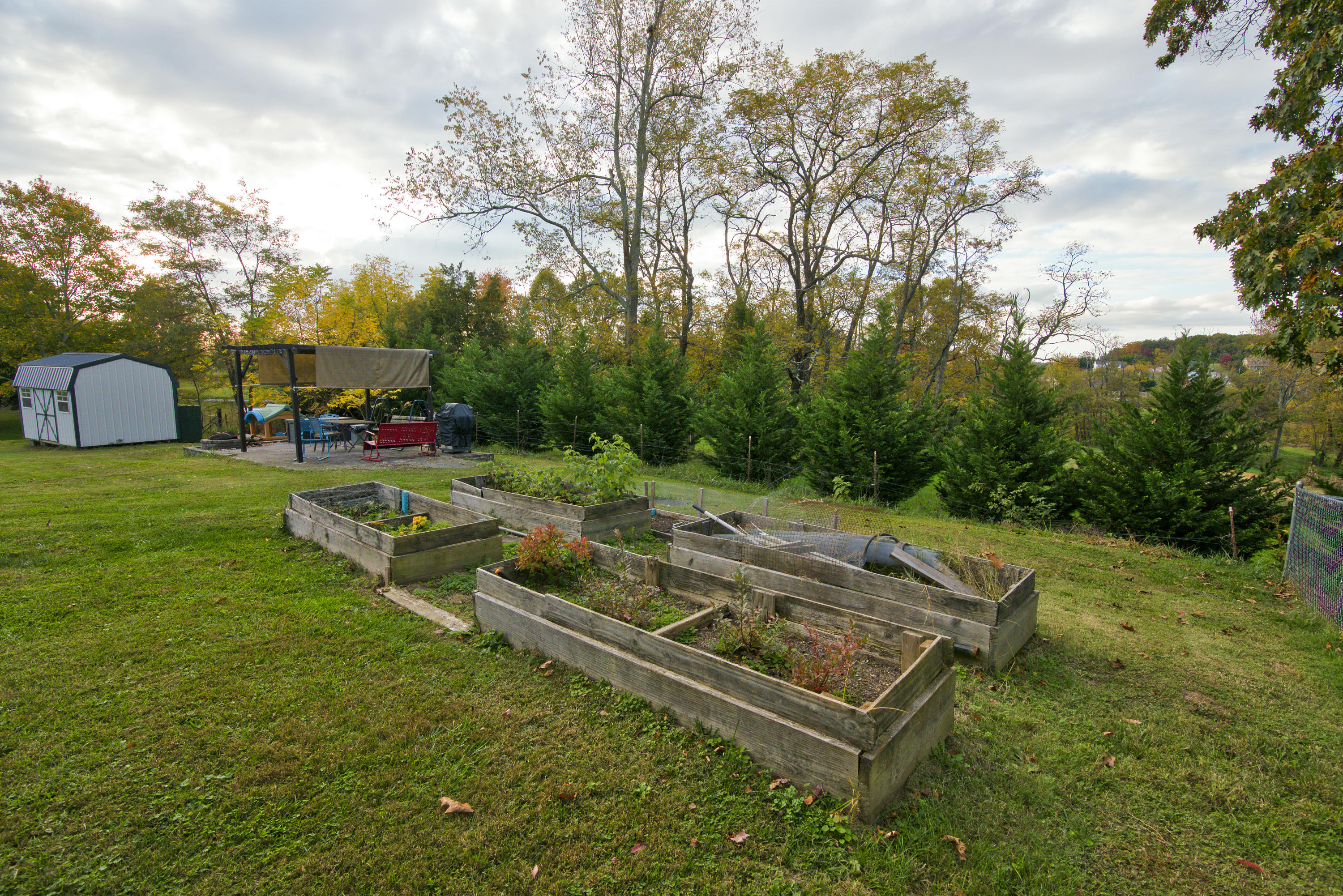 151 Jim Town Road Jonesborough, TN 37659 - Photo 33 of 38 DSC_9898__10_24_2020