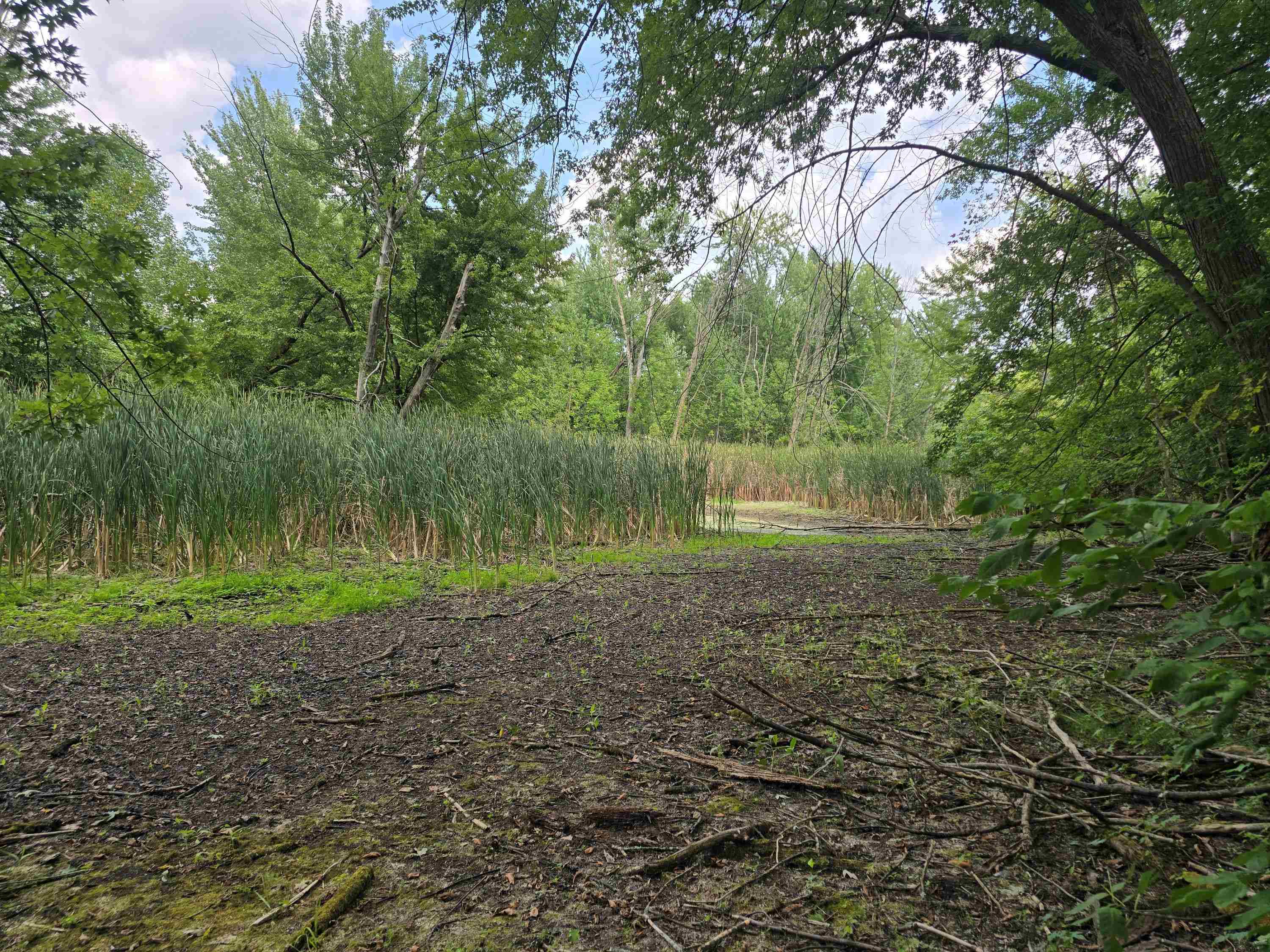 West Munger Road Munger, MI 48747 - Photo 2 of 8
