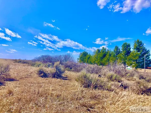 $155,000 | 1387 Cedar Lake Lane, Ashton, ID 83420